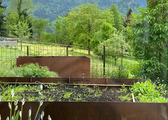 Apartment Kraft Tanken In Gruener Oase Mit Grossem Wohnraum Und Riesigem Garten