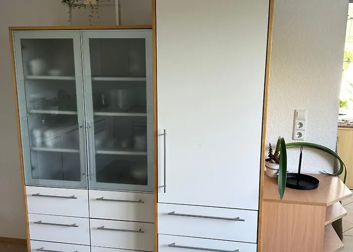 Kraft Tanken In Gruener Oase Mit Grossem Wohnraum Und Riesigem Garten Dornbirn