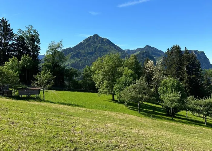 Kraft Tanken In Gruener Oase Mit Grossem Wohnraum Und Riesigem Garten Apartment *