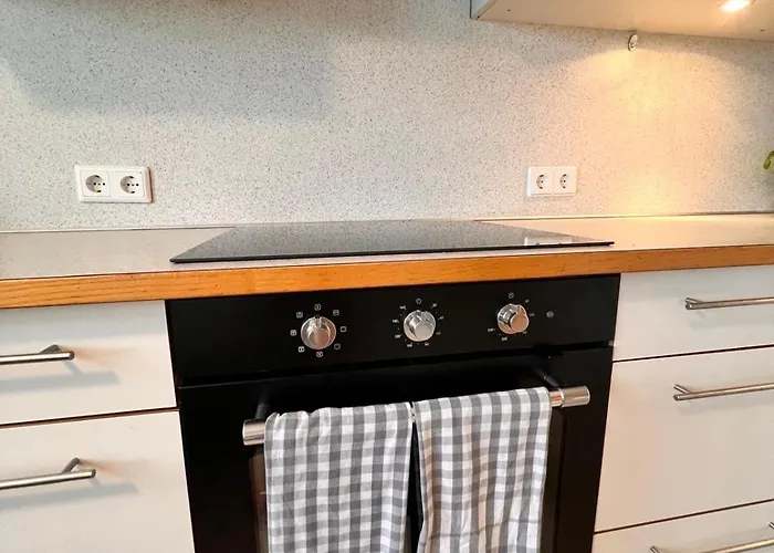 Kraft Tanken In Gruener Oase Mit Grossem Wohnraum Und Riesigem Garten Dornbirn