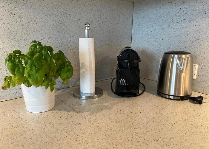 Kraft Tanken In Gruener Oase Mit Grossem Wohnraum Und Riesigem Garten Apartment Dornbirn