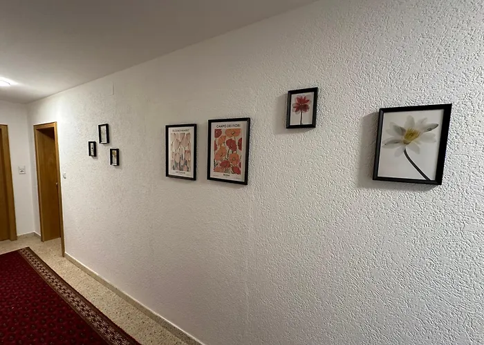 Kraft Tanken In Gruener Oase Mit Grossem Wohnraum Und Riesigem Garten Dornbirn