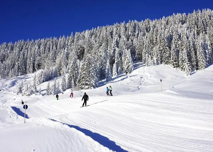 Kraft Tanken In Gruener Oase Mit Grossem Wohnraum Und Riesigem Garten Dornbirn