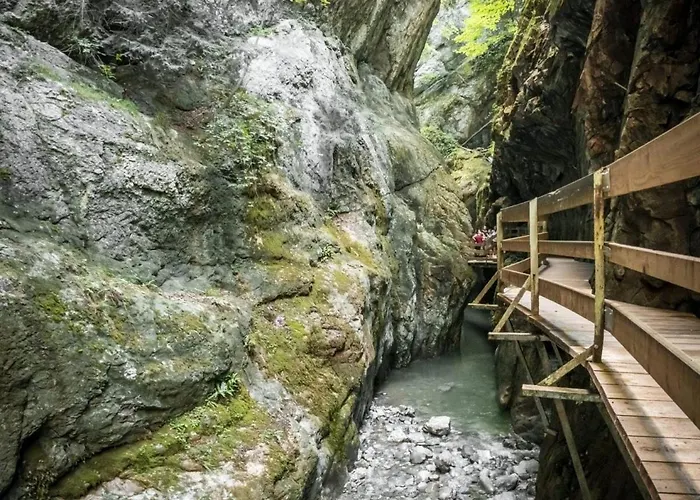 Kraft Tanken In Gruener Oase Mit Grossem Wohnraum Und Riesigem Garten Dornbirn