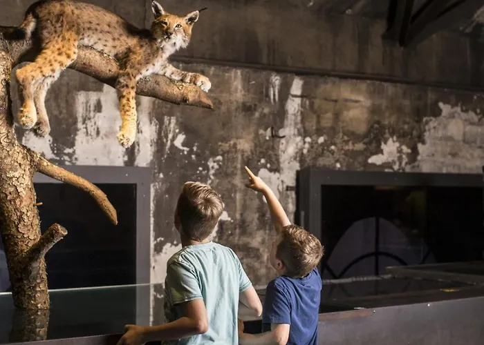 Apartment Kraft Tanken In Gruener Oase Mit Grossem Wohnraum Und Riesigem Garten
